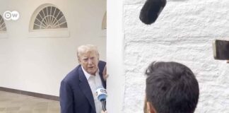 Тарифный план Трампа: рост цен и удар по малому бизнесу Trump