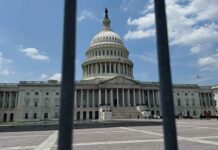 Что такое шатдаун правительства США US Congress