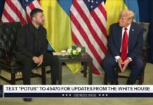 Трамп: «Украинские солдаты демонстрируют невероятную храбрость»