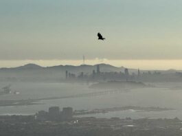 San Francisco, Caalifornia