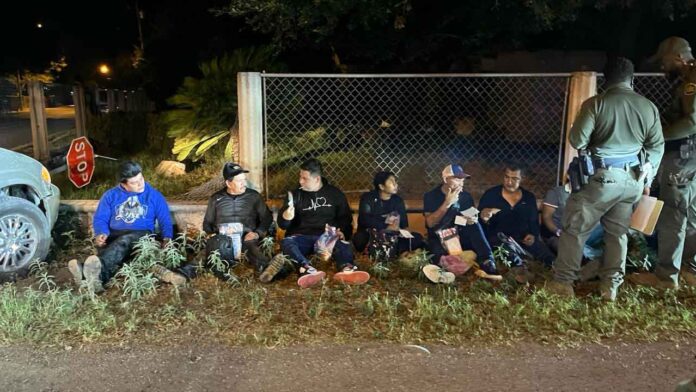 Texas Department of Public Safety