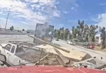 ICE выдвинула ордер на арест дальнобойщика после смертельного ДТП в Калифорнии Jashanpreet Singh