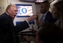 Трамп назвал журналистку «свинкой» после вопроса про Эпштейна Trump