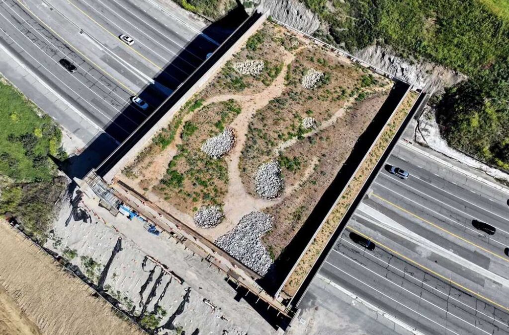 Wallis Annenberg Wildlife Crossing