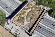 Wallis Annenberg Wildlife Crossing