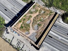 Wallis Annenberg Wildlife Crossing