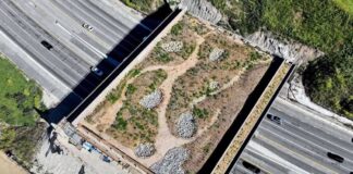 Wallis Annenberg Wildlife Crossing