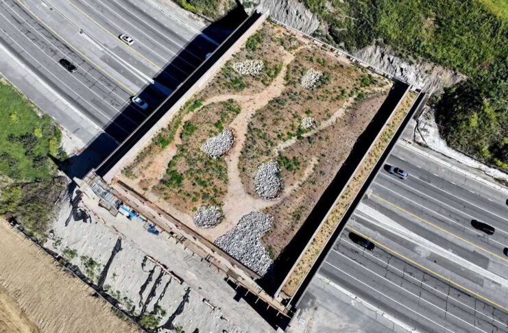 Wallis Annenberg Wildlife Crossing