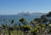 san-francisco-bay