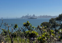 Сан-Франциско стремительно уходит под воду san-francisco-bay