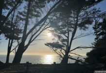 В районе залива Сан-Франциско ожидается аномальная мартовская жара Sun