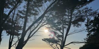 В районе залива Сан-Франциско ожидается аномальная мартовская жара Sun