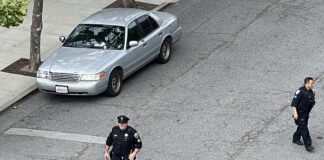 car-vehicle-fbi-police