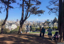 The Painted Ladies