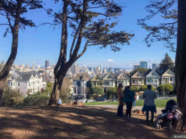 The Painted Ladies