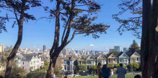 The Painted Ladies