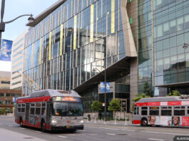 san-francisco-state-university