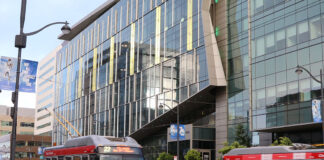 san-francisco-state-university