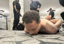 trump assassination attempt