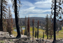 Lassen Volcanic National Park