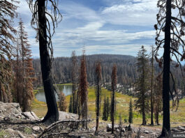 Lassen Volcanic National Park