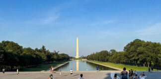 Водоросли атаковали бассейн у мемориала Линкольна после реконструкции Трампа за $14 млн Lincoln Memorial Reflecting Pool