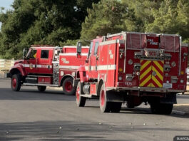 Cal Fire