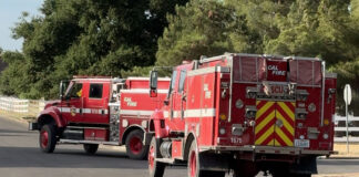 Cal Fire