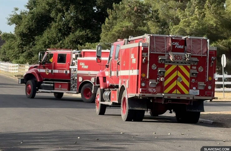 Cal Fire