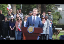 newsom