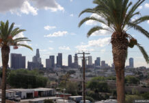 В Лос-Анджелесе разбился новостной вертолёт, погибли три человека los-angeles-palms