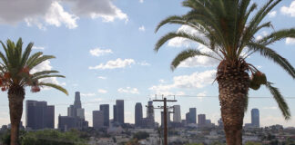 los-angeles-palms