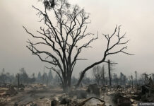 napa-fire-california