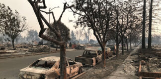 Власти назвали официальную причину смертельного пожара Eaton napa-fire-cars