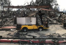 napa-fire-service-car