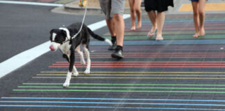 rainbow-crosswalk-lgbt-sacramento