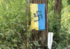 ukrainian-flag