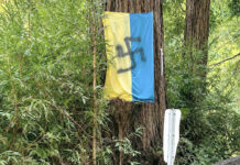 У жителя Нью-Мексико изъяли украинский флаг с нарисованной свастикой ukrainian-flag