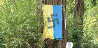 У жителя Нью-Мексико изъяли украинский флаг с нарисованной свастикой ukrainian-flag