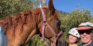 В Калифорнии полицейский вертолет спас лошадь, застрявшую в горах horse rescue