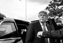 donald-trump-tv