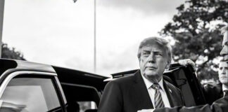 donald-trump-tv