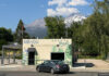 shasta