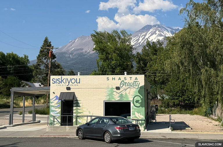 shasta