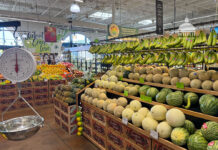 grocery-food-store