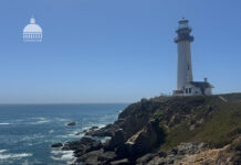 Трамп хочет переименовать Атлантический или Тихий океан в свою честь ocean-lighthouse